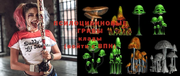 сатива Алексеевка