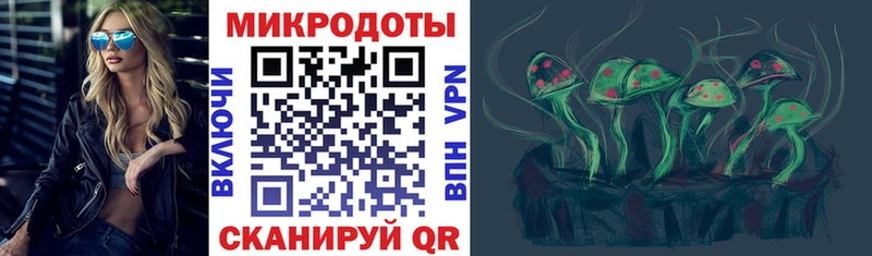 Псилоцибиновые грибы ЛСД Заинск
